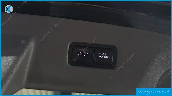 KIA CARNIVAL GASOLINE 7-SEATER HI-LIMOUSINE