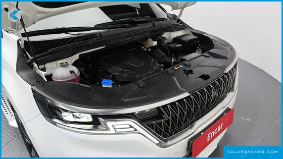 KIA CARNIVAL DIESEL 9-SEATER HI-LIMOUSINE