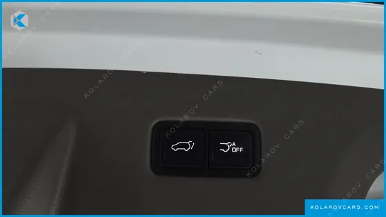 KIA CARNIVAL DIESEL 9-SEATER HI-LIMOUSINE