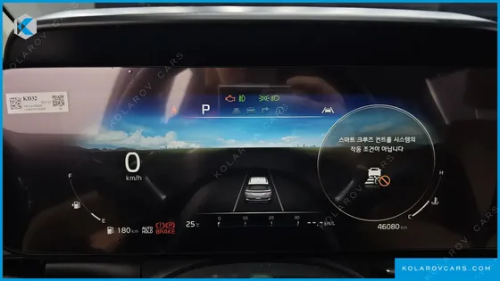 KIA CARNIVAL GASOLINE 9-SEATER NOBLESSE