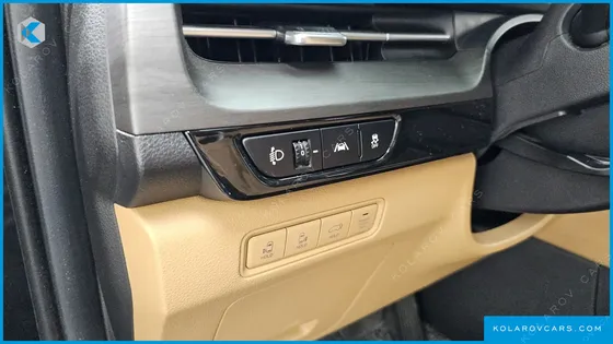 KIA CARNIVAL GASOLINE 9-SEATER NOBLESSE
