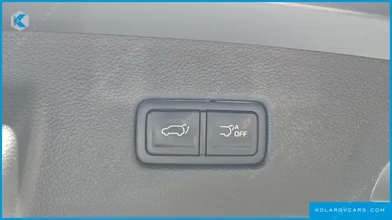 KIA CARNIVAL GASOLINE 9-SEATER NOBLESSE