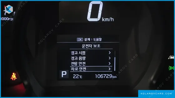 KIA RAY SIGNATURE