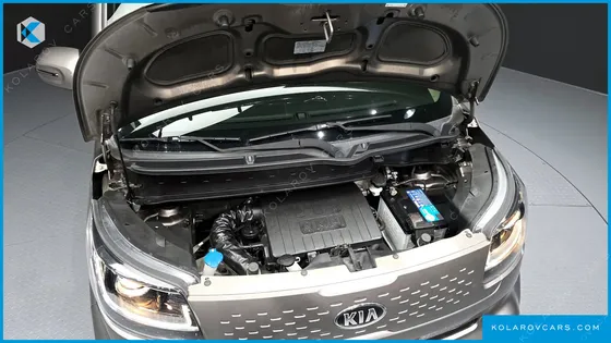 KIA RAY SIGNATURE