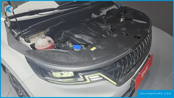 KIA CARNIVAL GASOLINE 9-SEATER NOBLESSE