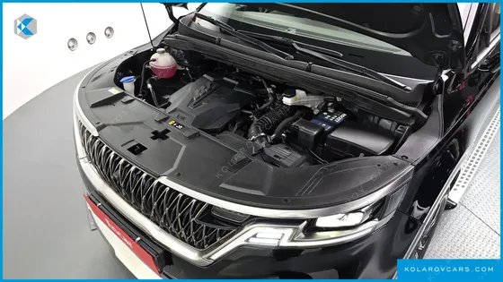 KIA CARNIVAL GASOLINE 7-SEATER HI-LIMOUSINE