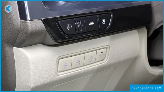 KIA CARNIVAL GASOLINE 7-SEATER HI-LIMOUSINE