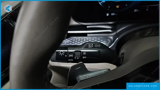 KIA CARNIVAL GASOLINE 7-SEATER HI-LIMOUSINE