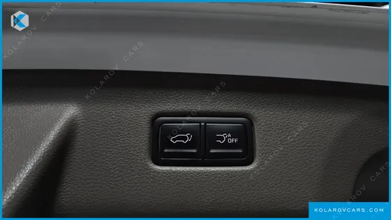 KIA CARNIVAL DIESEL 9-SEATER HI-LIMOUSINE