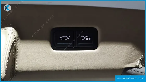 KIA CARNIVAL GASOLINE 9-SEATER LIMOUSINE(SPECIAL VEHICLE)