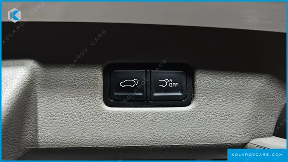KIA CARNIVAL DIESEL 9-SEATER HI-LIMOUSINE(SPECIAL VEHICLE)