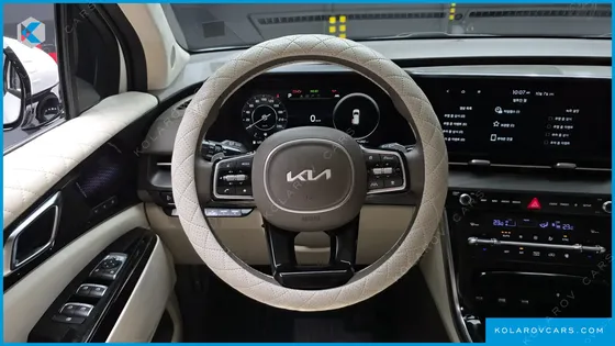 KIA CARNIVAL GASOLINE 9-SEATER LIMOUSINE(SPECIAL VEHICLE)