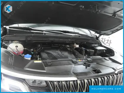 KIA CARNIVAL GASOLINE 9-SEATER LIMOUSINE(SPECIAL VEHICLE)
