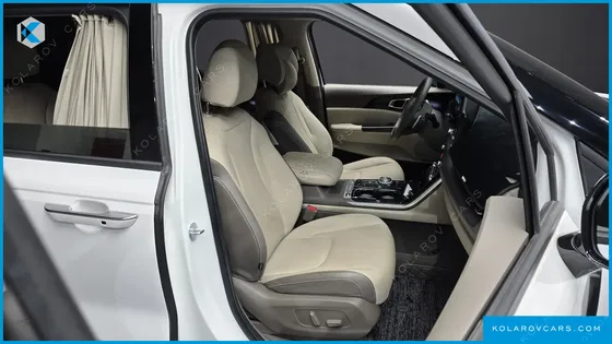 KIA CARNIVAL GASOLINE 9-SEATER HI-LIMOUSINE