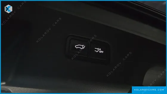KIA CARNIVAL DIESEL 9-SEATER SIGNATURE