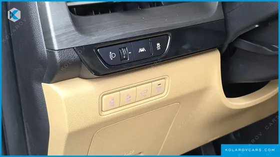 KIA CARNIVAL GASOLINE 9-SEATER LIMOUSINE(SPECIAL VEHICLE)
