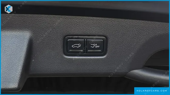 KIA CARNIVAL GASOLINE 9-SEATER LIMOUSINE(SPECIAL VEHICLE)