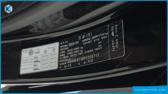 KIA CARNIVAL GASOLINE 9-SEATER LIMOUSINE(SPECIAL VEHICLE)