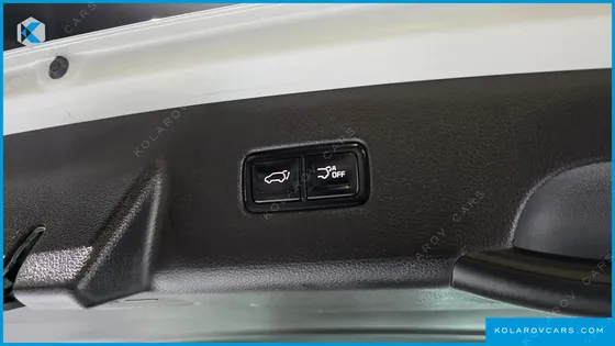 KIA CARNIVAL GASOLINE 9-SEATER SIGNATURE