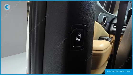 KIA CARNIVAL GASOLINE 9-SEATER SIGNATURE