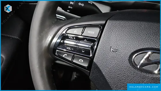 HYUNDAI GRANDEUR 3.0 LPI DSABLED PERSON