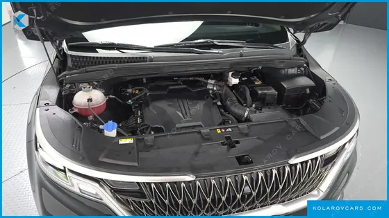 KIA CARNIVAL GASOLINE 9-SEATER HI-LIMOUSINE
