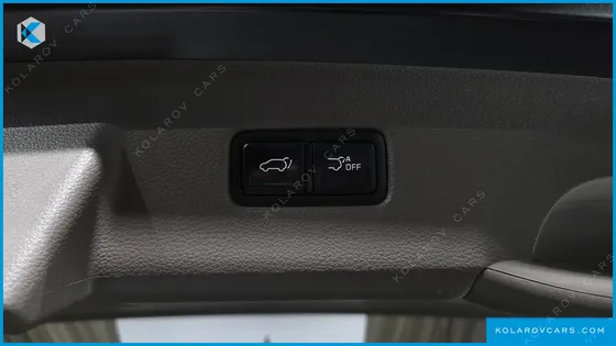 KIA CARNIVAL GASOLINE 9-SEATER HI-LIMOUSINE