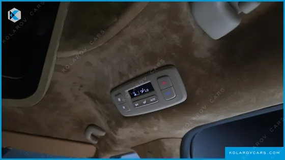 KIA CARNIVAL GASOLINE 9-SEATER LIMOUSINE(SPECIAL VEHICLE)
