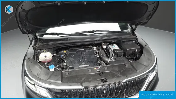 KIA CARNIVAL GASOLINE 9-SEATER HI-LIMOUSINE