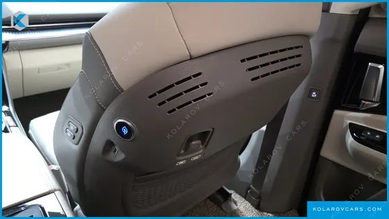 KIA CARNIVAL GASOLINE 9-SEATER HI-LIMOUSINE