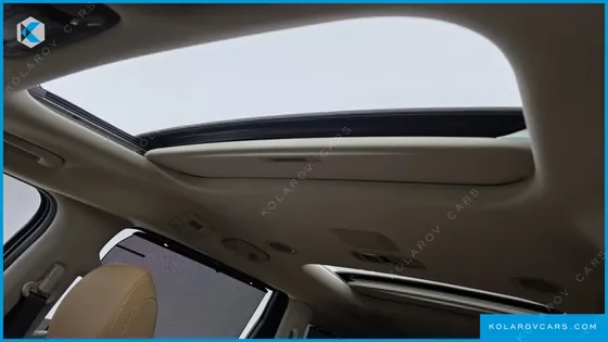 KIA CARNIVAL DIESEL 9-SEATER SIGNATURE