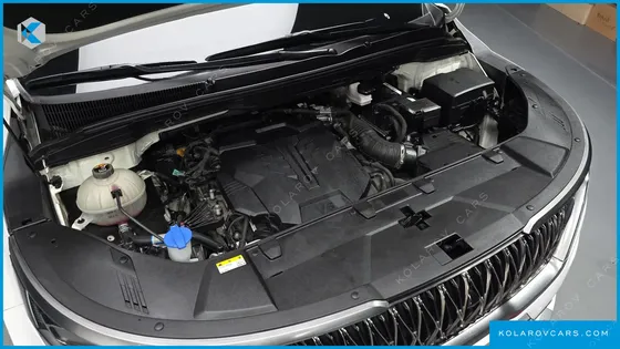 KIA CARNIVAL GASOLINE 9-SEATER HI-LIMOUSINE