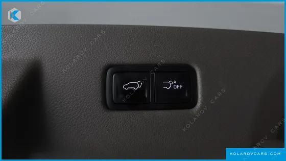 KIA CARNIVAL GASOLINE 9-SEATER HI-LIMOUSINE