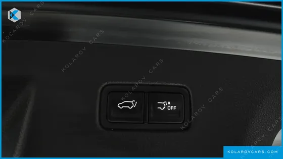 KIA CARNIVAL GASOLINE 9-SEATER SIGNATURE