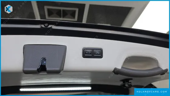 KIA CARNIVAL GASOLINE 9-SEATER LIMOUSINE(SPECIAL VEHICLE)