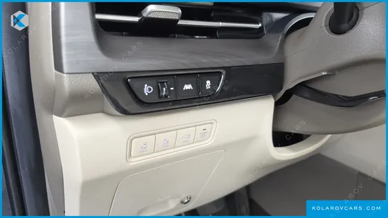 KIA CARNIVAL GASOLINE 9-SEATER LIMOUSINE(SPECIAL VEHICLE)