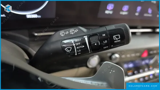 KIA CARNIVAL GASOLINE 9-SEATER LIMOUSINE(SPECIAL VEHICLE)