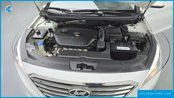 HYUNDAI SONATA LPI SMART(HANDICAPPED)