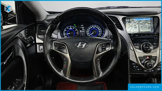 HYUNDAI GRANDEUR LPG HG300 HANDICAPPED ONLY