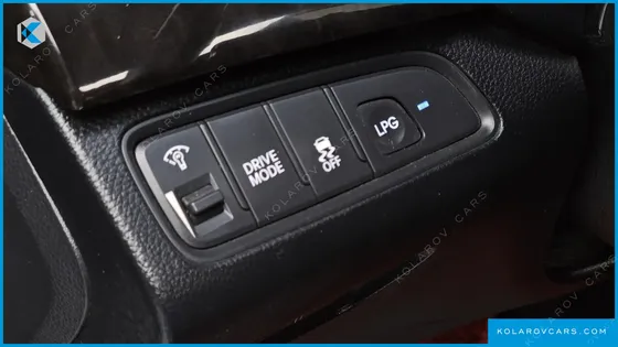 HYUNDAI GRANDEUR LPG HG300 HANDICAPPED ONLY