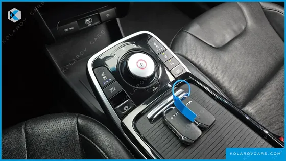 KIA NIRO EARTH