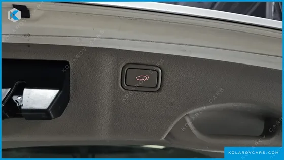 KIA CARNIVAL 9-SEATER PRESTIGE