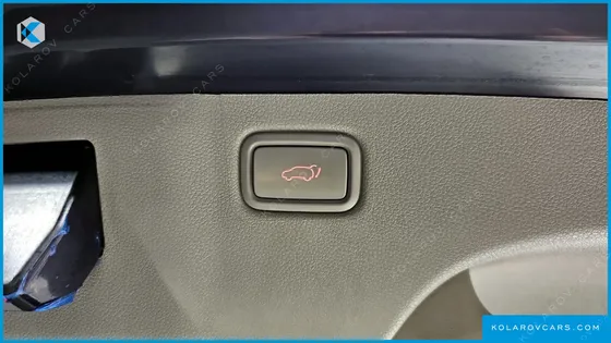 KIA CARNIVAL 9-SEATER NOBLESSE