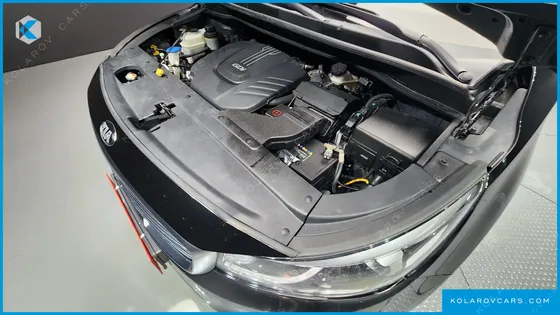 KIA CARNIVAL GASOLINE 9-SEATER NOBLESSE