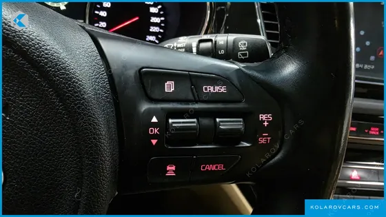 KIA CARNIVAL GASOLINE 9-SEATER HI-LIMOUSINE