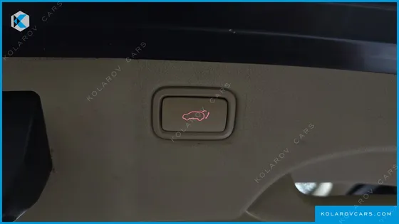 KIA CARNIVAL 9-SEATER PRESTIGE
