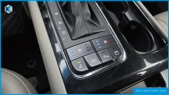 KIA CARNIVAL 9-SEATER NOBLESSE