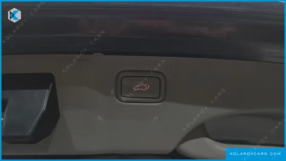 KIA CARNIVAL 9-SEATER NOBLESSE