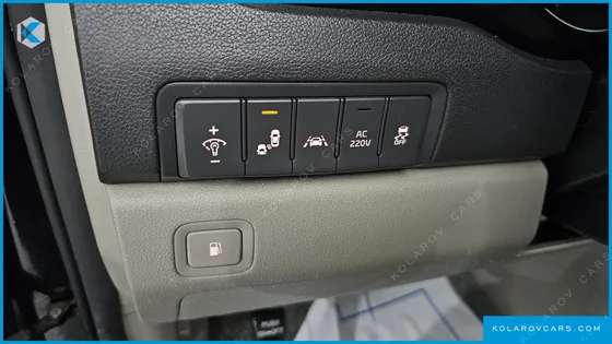 KIA CARNIVAL 9-SEATER NOBLESSE