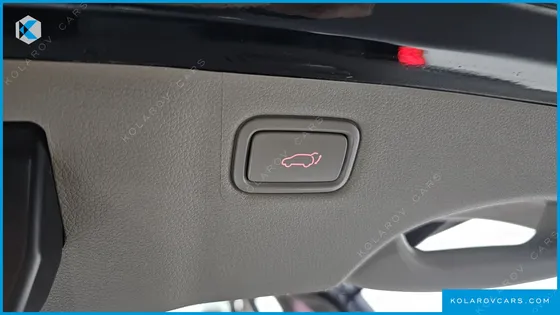 KIA CARNIVAL 9-SEATER NOBLESSE